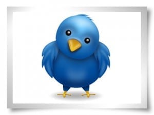 Tweet tweet!