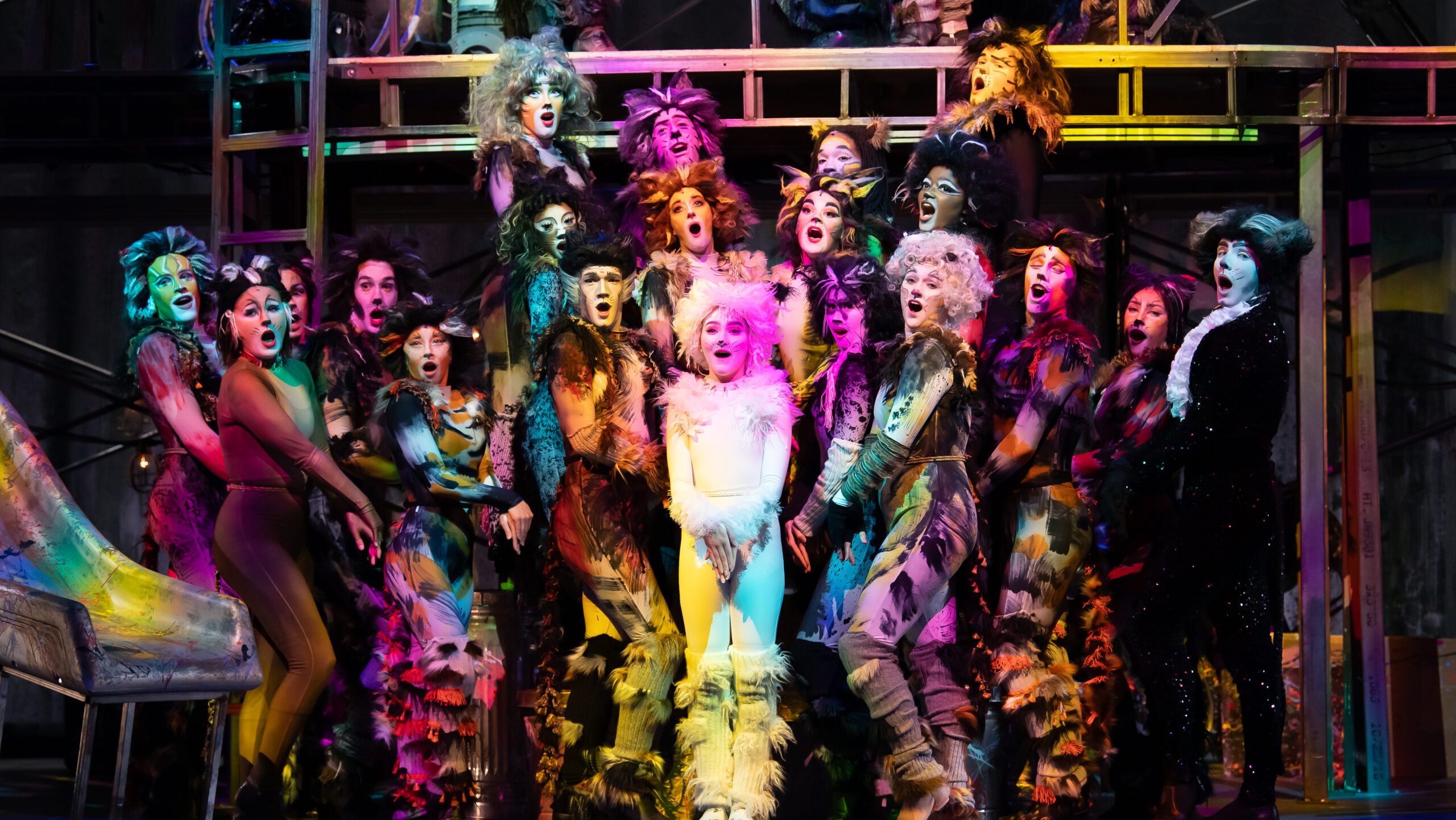 UFOMT; Utah Festival Opera; 2024 ; Ellen Eccles Theatre ; Cache County ; CATS